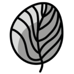 cropped-Roelfsemarouwcoaching_favicon_502x502.png