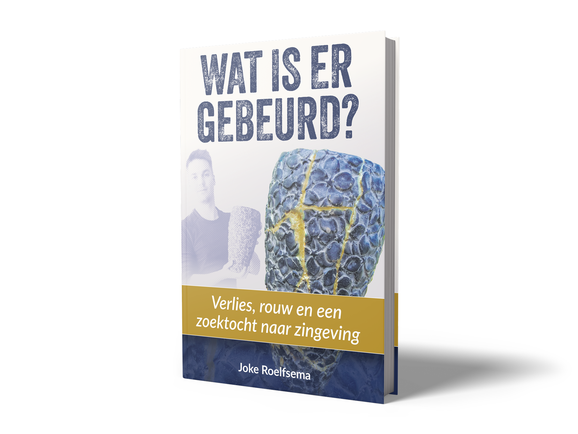 Roelfsemarouwcoaching_boek_watisergebeurd_vrijst_back